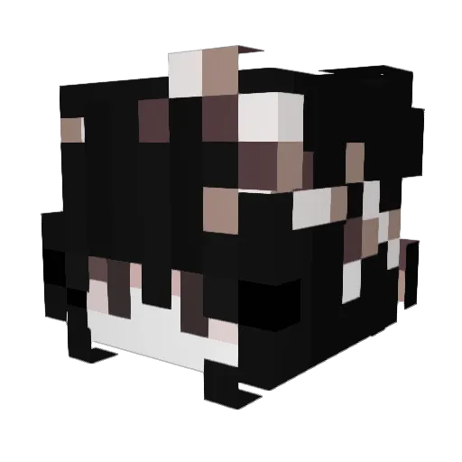 talentedplayer Minecraft avatar head, 3D render