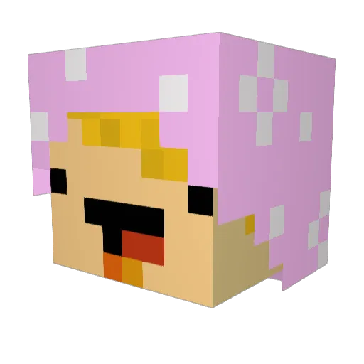 talfini Minecraft avatar head, 3D render