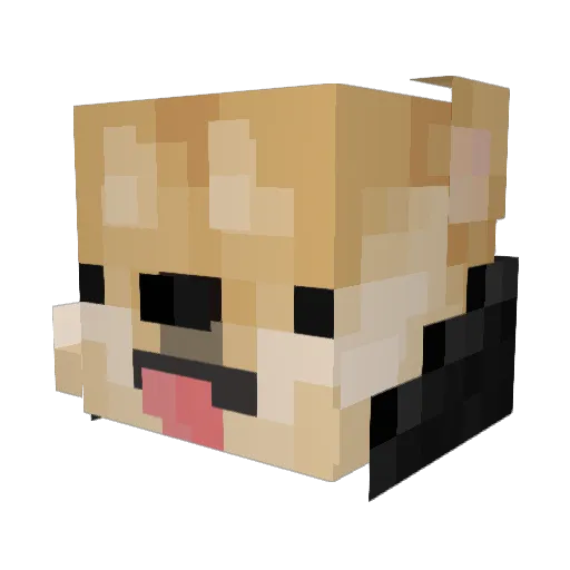 tali_103 Minecraft avatar head, 3D render