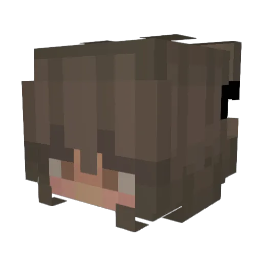 taliasong Minecraft avatar head, 3D render