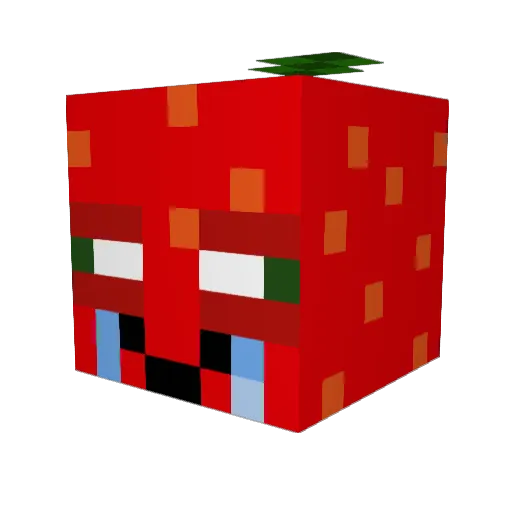 taliiyuh Minecraft avatar head, 3D render