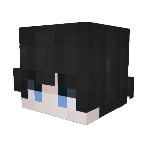 talis_bug Minecraft avatar head, 3D render