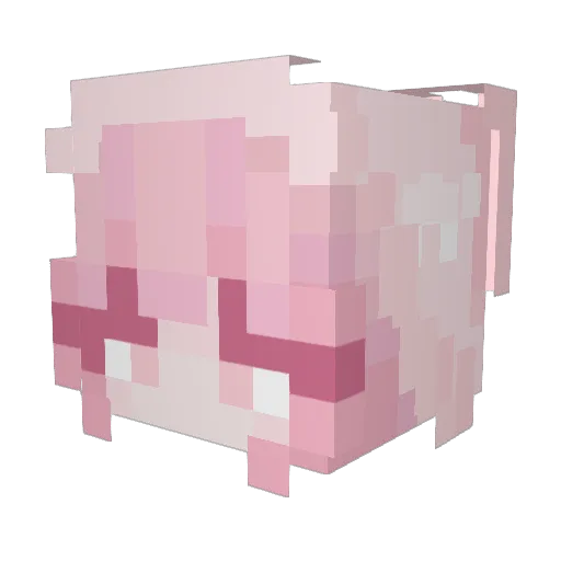 talivy Minecraft avatar head, 3D render