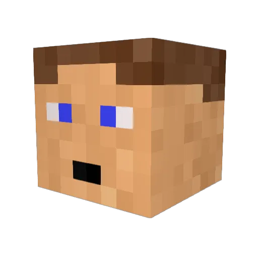 talkorpi Minecraft avatar head, 3D render