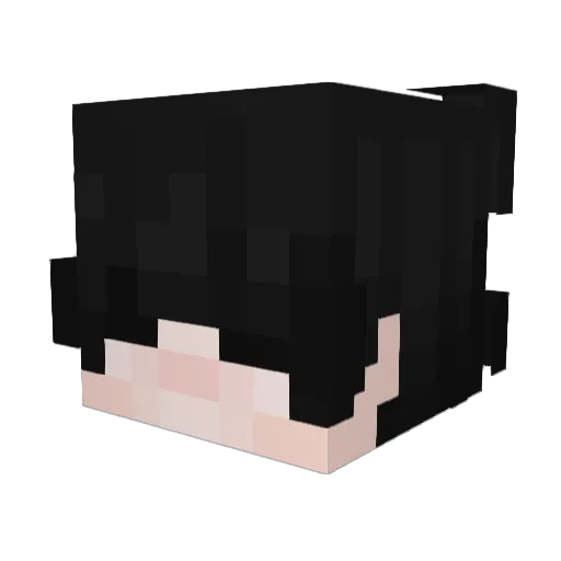 tallJoey Minecraft avatar head, 3D render