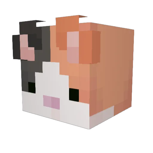 tallcatintallhat Minecraft avatar head, 3D render