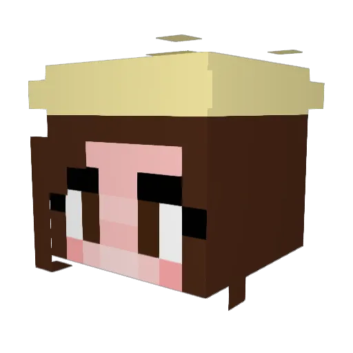 tallenator23 Minecraft avatar head, 3D render