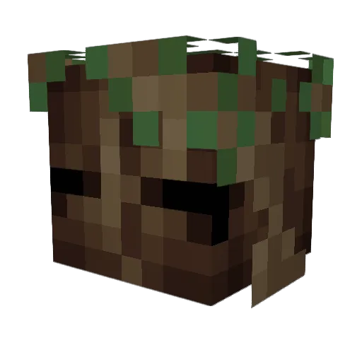 talltree43 Minecraft avatar head, 3D render