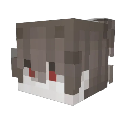 talonvz Minecraft avatar head, 3D render