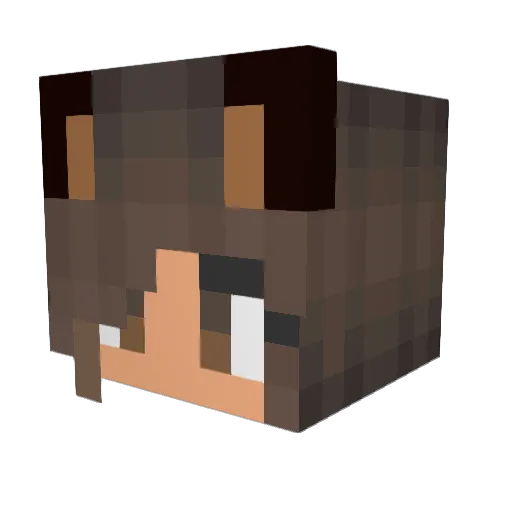 tama_jx Minecraft avatar head, 3D render
