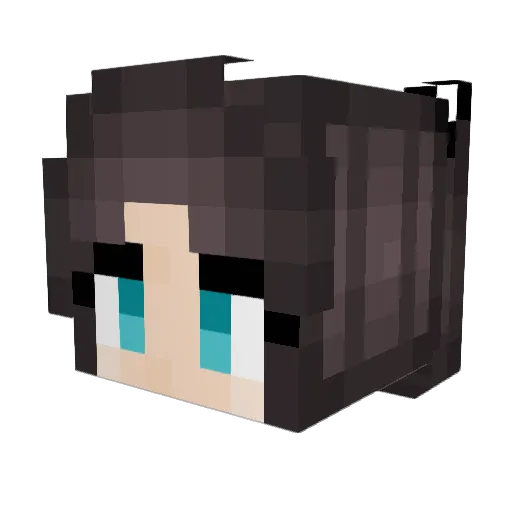 tamacucci Minecraft avatar head, 3D render