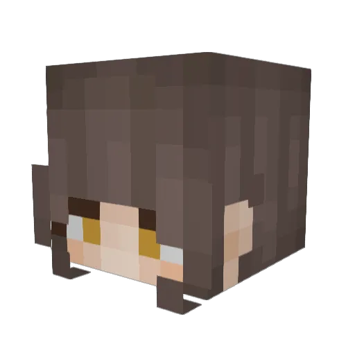 tamag0kakeg0han Minecraft avatar head, 3D render