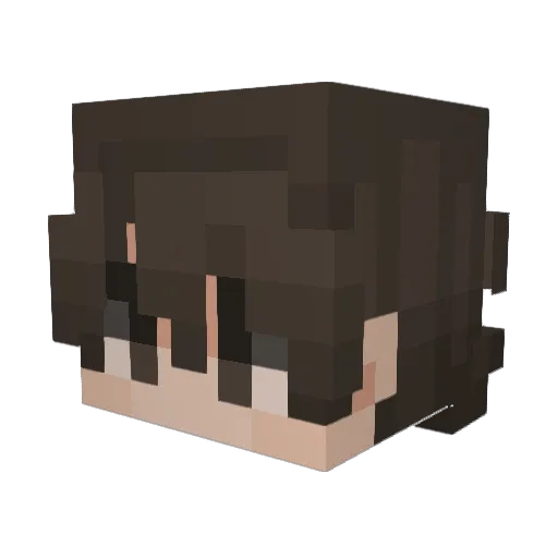 tamagochibooi Minecraft avatar head, 3D render