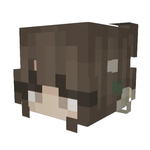 tamalesnlemons Minecraft avatar head, 3D render