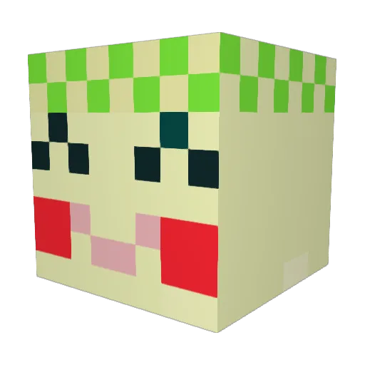 tamanegi4656 Minecraft avatar head, 3D render