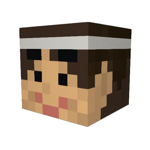 tamaosan Minecraft avatar head, 3D render