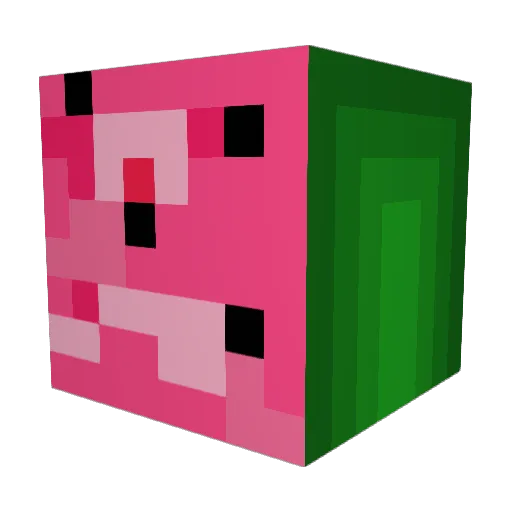 tamcam Minecraft avatar head, 3D render