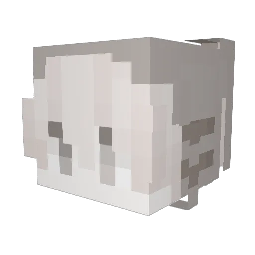 tamegamer Minecraft avatar head, 3D render