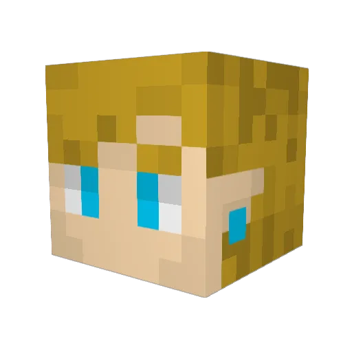 tamehouse Minecraft avatar head, 3D render