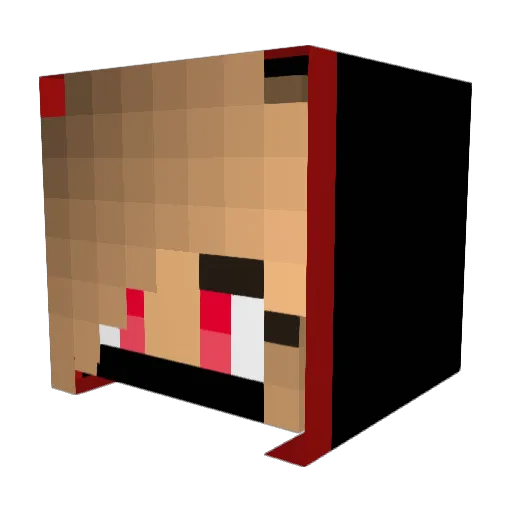 tamekag25 Minecraft avatar head, 3D render