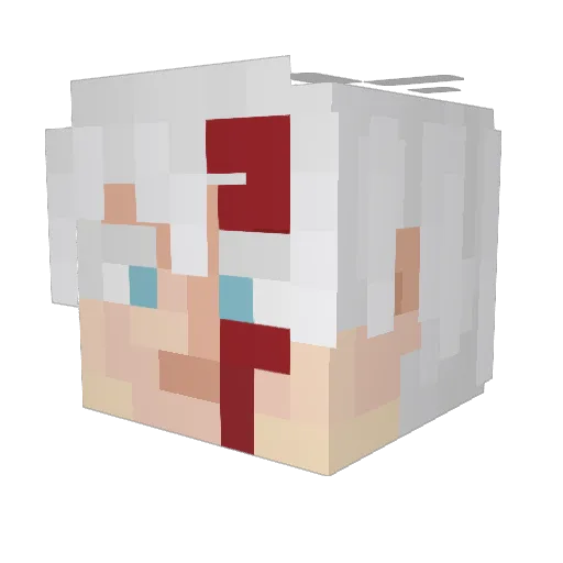 tamerlan07 Minecraft avatar head, 3D render