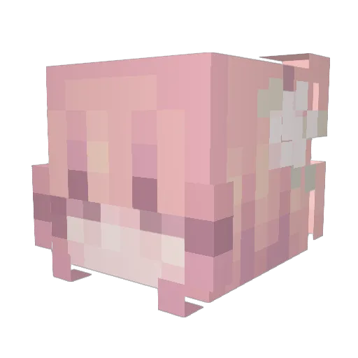 tami797 Minecraft avatar head, 3D render