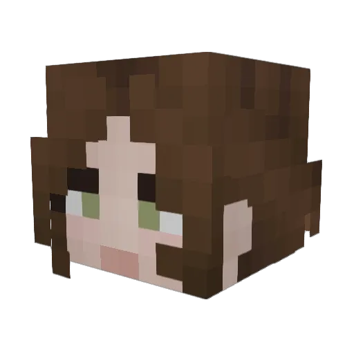 tami_jaeli Minecraft avatar head, 3D render
