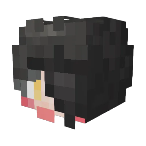 tamin_98 Minecraft avatar head, 3D render