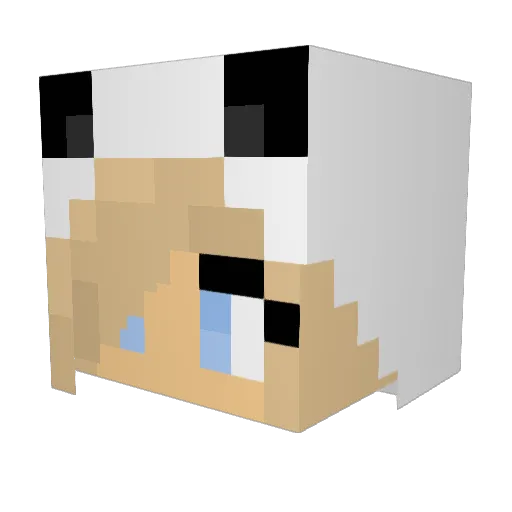 tamina76 Minecraft avatar head, 3D render