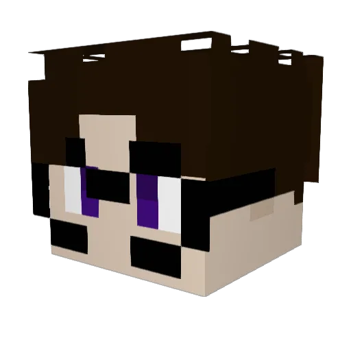 tamino66 Minecraft avatar head, 3D render