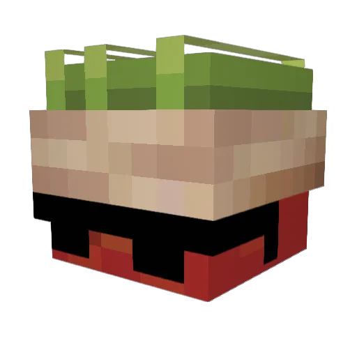 tammato Minecraft avatar head, 3D render