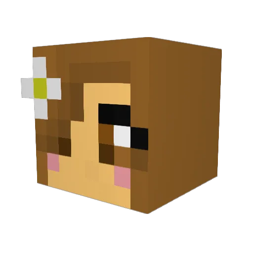 tammy225 Minecraft avatar head, 3D render