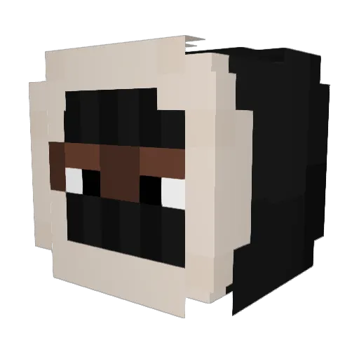 tamngn29 Minecraft avatar head, 3D render