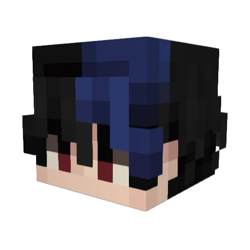 tamzwho Minecraft avatar head, 3D render