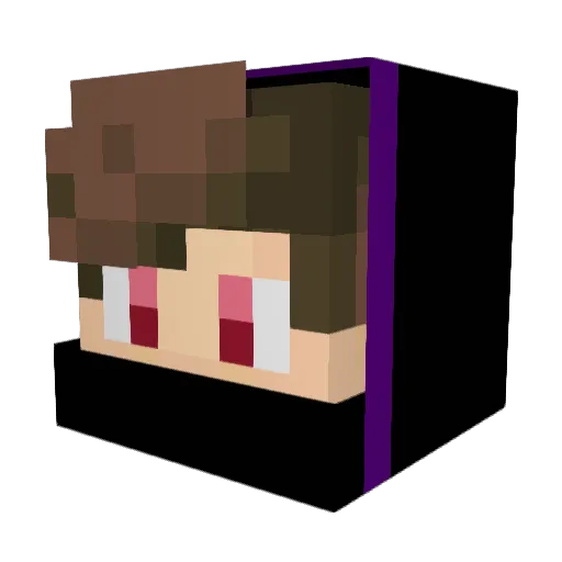 tan_was_here Minecraft avatar head, 3D render
