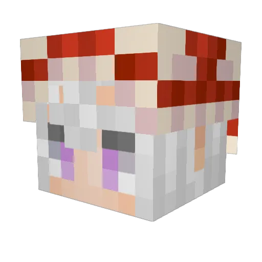 tanaa128 Minecraft avatar head, 3D render