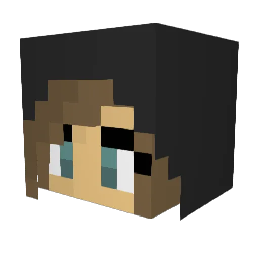 tanai1234 Minecraft avatar head, 3D render