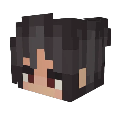 tanai666 Minecraft avatar head, 3D render