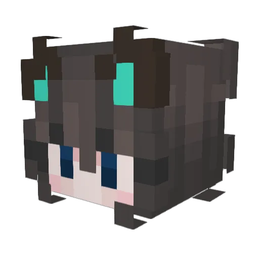 tanaka4869 Minecraft avatar head, 3D render