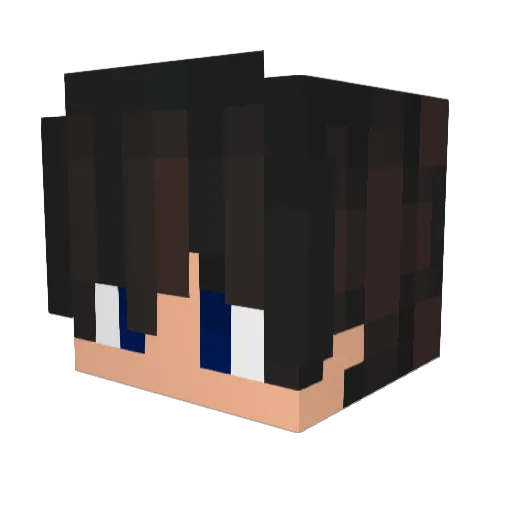 tandborste123 Minecraft avatar head, 3D render