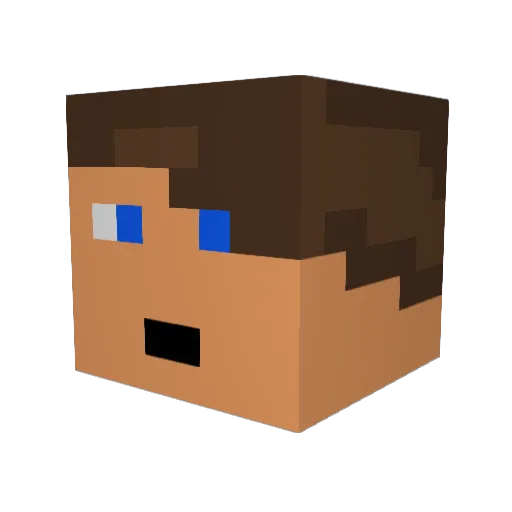 tanerknight6 Minecraft avatar head, 3D render