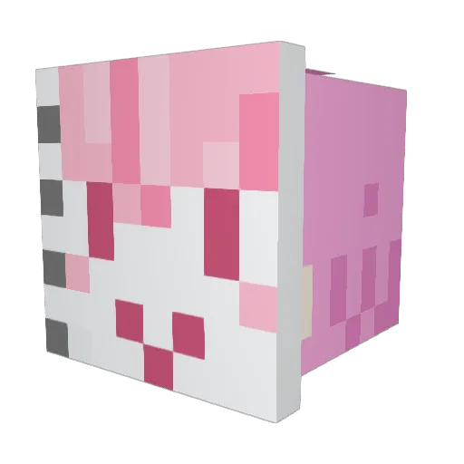 tanetaneta Minecraft avatar head, 3D render