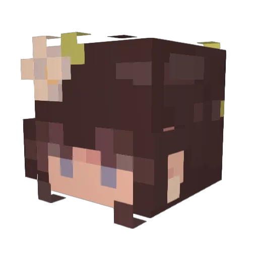 tangerine119 Minecraft avatar head, 3D render