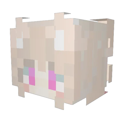 tangguo233 Minecraft avatar head, 3D render