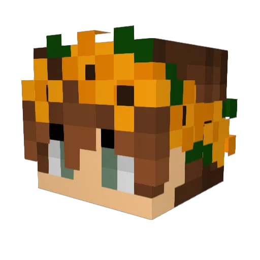 tango_time Minecraft avatar head, 3D render