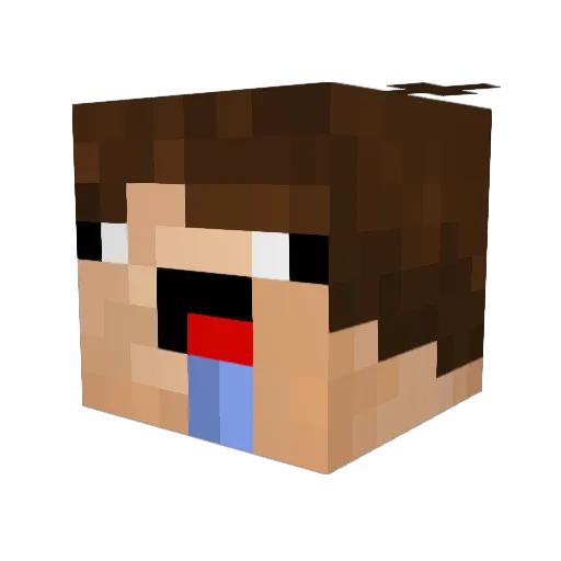 tangodown95 Minecraft avatar head, 3D render