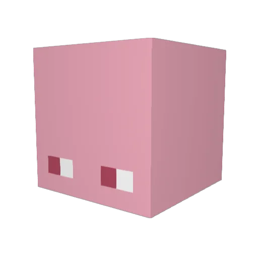 tangry707 Minecraft avatar head, 3D render