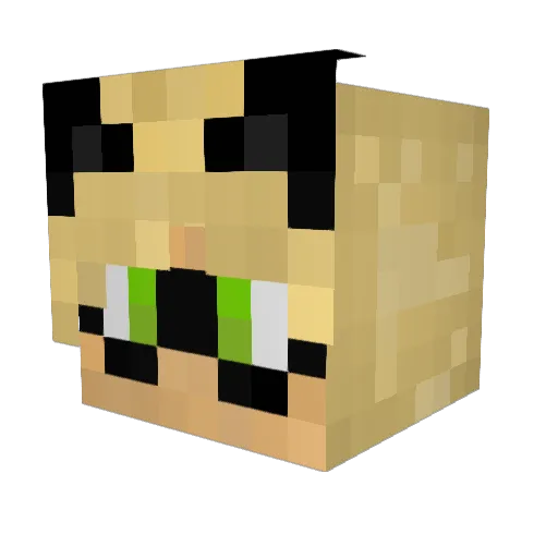 tangymia Minecraft avatar head, 3D render