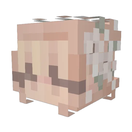 tangytass Minecraft avatar head, 3D render