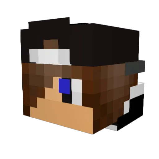 tanhaafg43 Minecraft avatar head, 3D render
